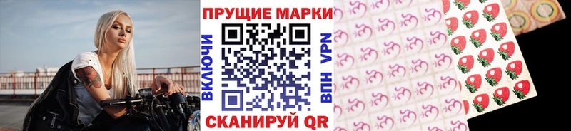 где купить наркотик  Пустошка  блэк спрут ССЫЛКА  Марки N-bome 1500мкг 