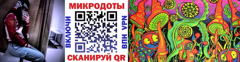 Галлюциногенные грибы Psilocybine cubensis  Пустошка 